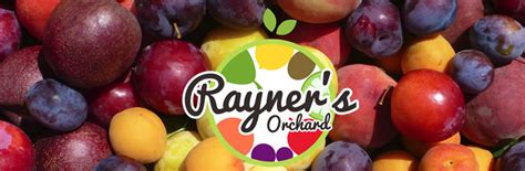 roayner|rayners orchard.